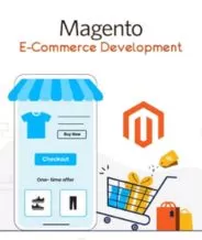 Magento Ecommerce Development in Delhi, India